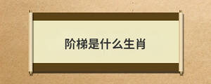 問(wèn)答 (53).jpg