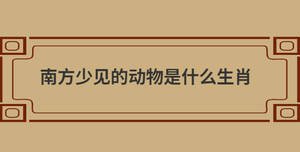 自創 (60).jpg