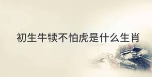 傳統(tǒng) (68).jpg