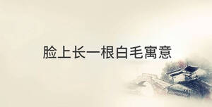 傳統(tǒng) (89).jpg