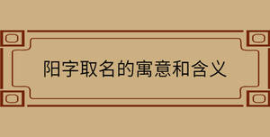 自創(chuàng) - 2022-08-15T115322.350.jpg