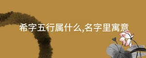 起名 - 2022-08-22T093033.085.jpg