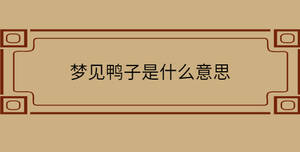 自創(chuàng) - 2022-11-08T151831.066.jpg