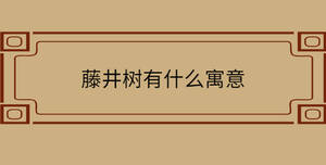 自創 - 2022-11-16T143540.309.jpg