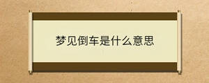 問(wèn)答 - 2022-11-24T140014.181.jpg