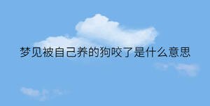 簡約藍(lán)色背景 - 2022-12-13T092814.274.jpg