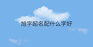 簡約藍色背景 - 2023-01-31T114908.273.jpg