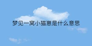 簡(jiǎn)約藍(lán)色背景 - 2023-02-01T131903.338.jpg