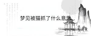 背景圖 - 2023-02-08T151501.246.jpg
