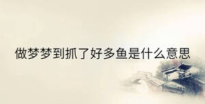 傳統(tǒng) - 2023-02-13T142804.980.jpg