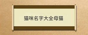 問(wèn)答 - 2023-02-17T164446.571.jpg