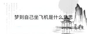 夢(mèng)到自己坐飛機(jī)是什么意思