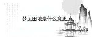 夢見田地是什么意思
