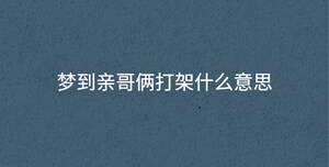夢到親哥倆打架什么意思