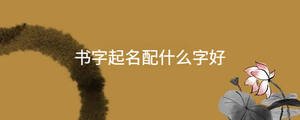 書字起名配什么字好