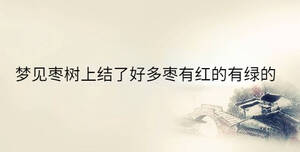 夢(mèng)見(jiàn)棗樹(shù)上結(jié)了好多棗有紅的有綠的