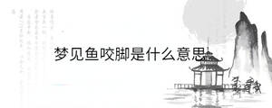 夢見魚咬腳是什么意思