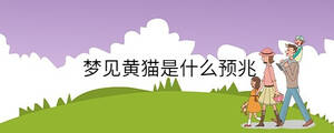 夢見黃貓是什么預兆