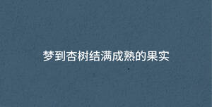 夢到杏樹結(jié)滿成熟的果實(shí)