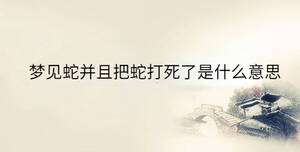 傳統(tǒng) - 2023-04-22T102611.572.jpg