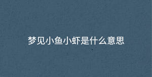 夢見小魚小蝦是什么意思