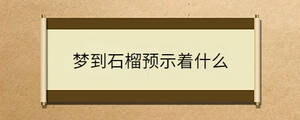 夢到石榴預(yù)示著什么