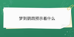 夢到鸚鵡預示著什么