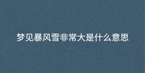 夢見暴風(fēng)雪非常大是什么意思