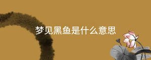 夢(mèng)見黑魚是什么意思