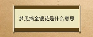 夢見摘金銀花是什么意思