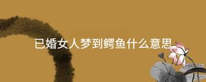 起名 - 2023-07-03T165412.789.jpg
