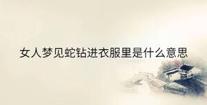 傳統(tǒng) - 2023-07-03T143800.445.jpg