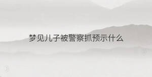 夢(mèng)見兒子被警察抓預(yù)示什么