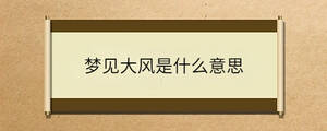 夢見大風(fēng)是什么意思