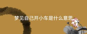 夢(mèng)見(jiàn)自己開(kāi)小車是什么意思