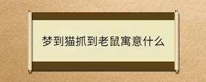問答 - 2023-07-13T144924.456.jpg