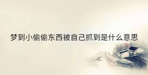 傳統(tǒng) - 2023-07-13T134139.474.jpg