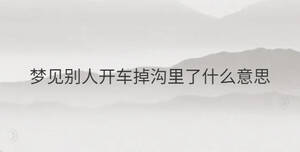 簡單 - 2023-07-26T133423.112.jpg