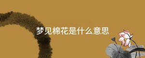 起名 - 2023-08-11T092557.785.jpg
