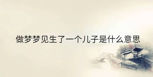 做夢(mèng)夢(mèng)見(jiàn)生了一個(gè)兒子是什么意思