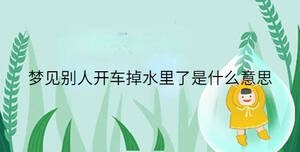 夢(mèng)見別人開車掉水里了是什么意思