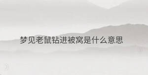 夢(mèng)見(jiàn)老鼠鉆進(jìn)被窩是什么意思