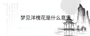 背景圖 - 2023-08-19T100122.466.jpg