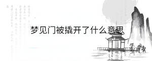 背景圖 - 2023-08-22T093018.550.jpg