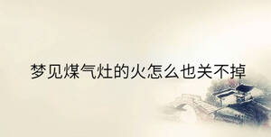 夢(mèng)見煤氣灶的火怎么也關(guān)不掉